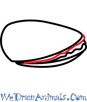 300x350 how to draw a mussel