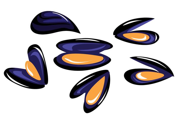 700x490 mussel vector