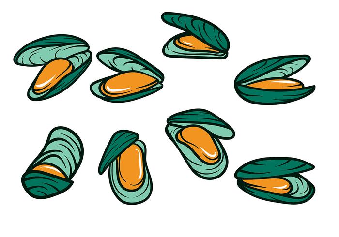 700x490 mussel vector icon