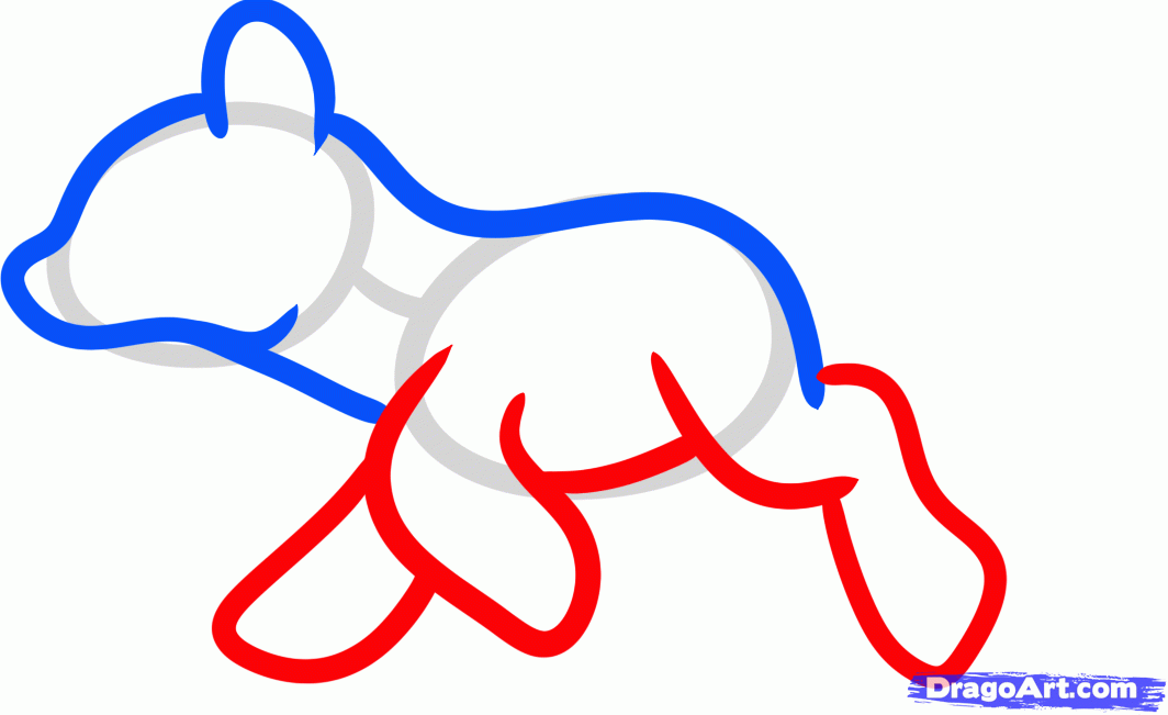 1064x651 Step How To Draw A Mustang For Kids