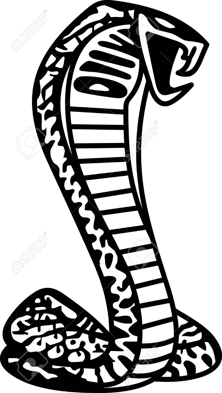 735x1300 Cobra Clipart Mustang Cobra