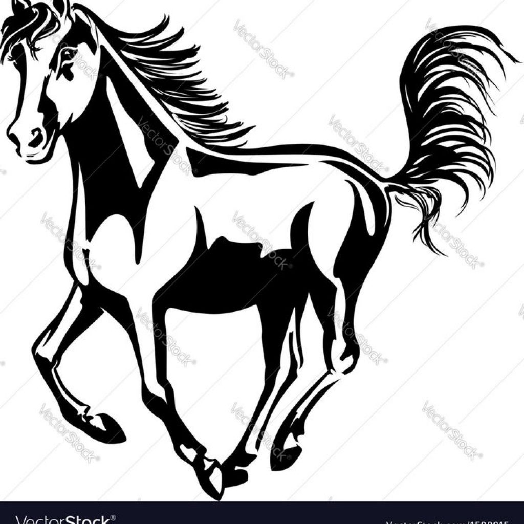 1024x1024 Collection Of Free Head Clipart Mustang Horse Amusement Clipart