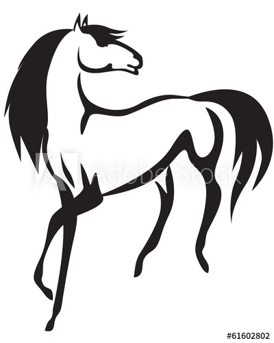 400x500 Horse Drawing