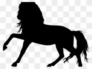 320x240 Horse Clipart, Transparent Horse Clip Art Png Download