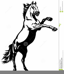 257x300 Mustang Wild Horse Clipart Free Images