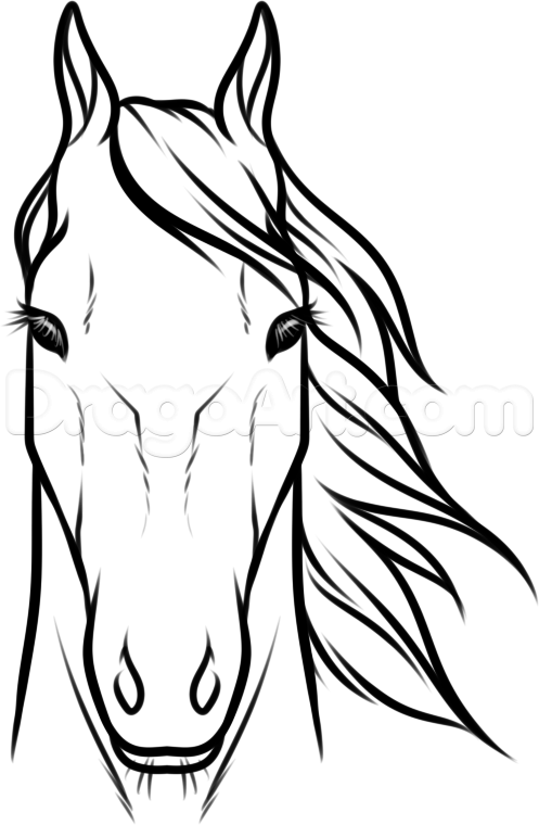 Mustang Outline Drawing