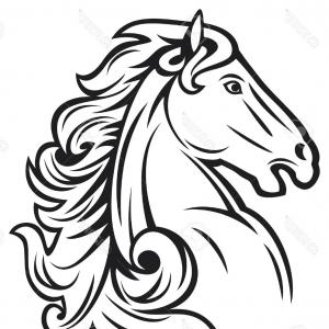300x300 icon drawing of a horse head with bridle front view gm lazttweet