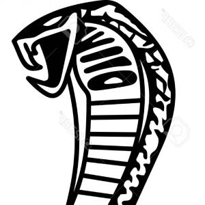 300x300 Pleasant Mustang Outline Ford Shelby Gt