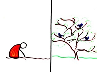 313x233 Shrubs And Kingdoms