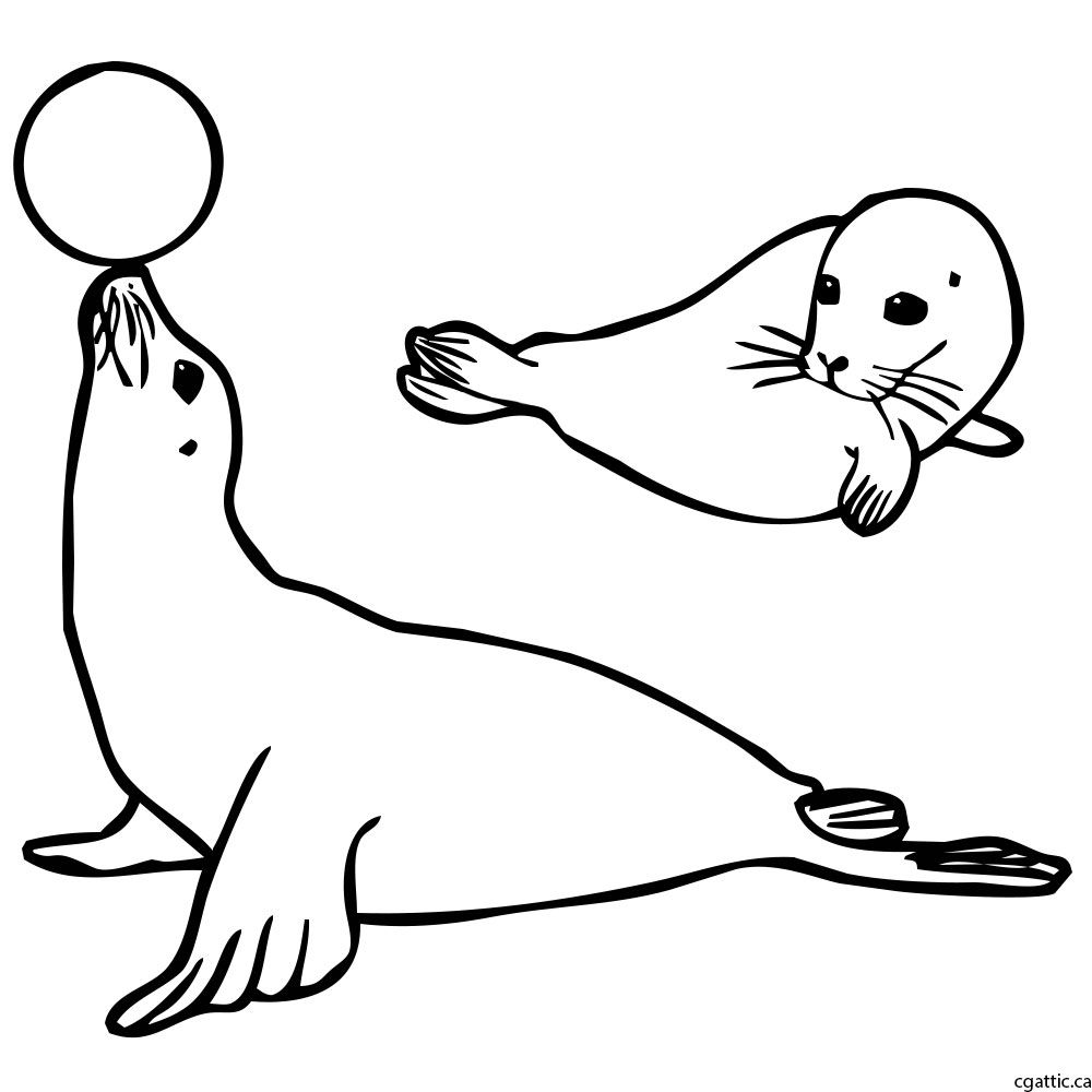 1000x1000 Cartoon Seal Drawing In Steps With Photoshop In Rock Your