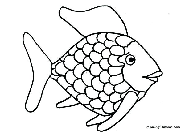 600x430 Fish Outline Drawing Day Generosity Through Rainbow Fish Character