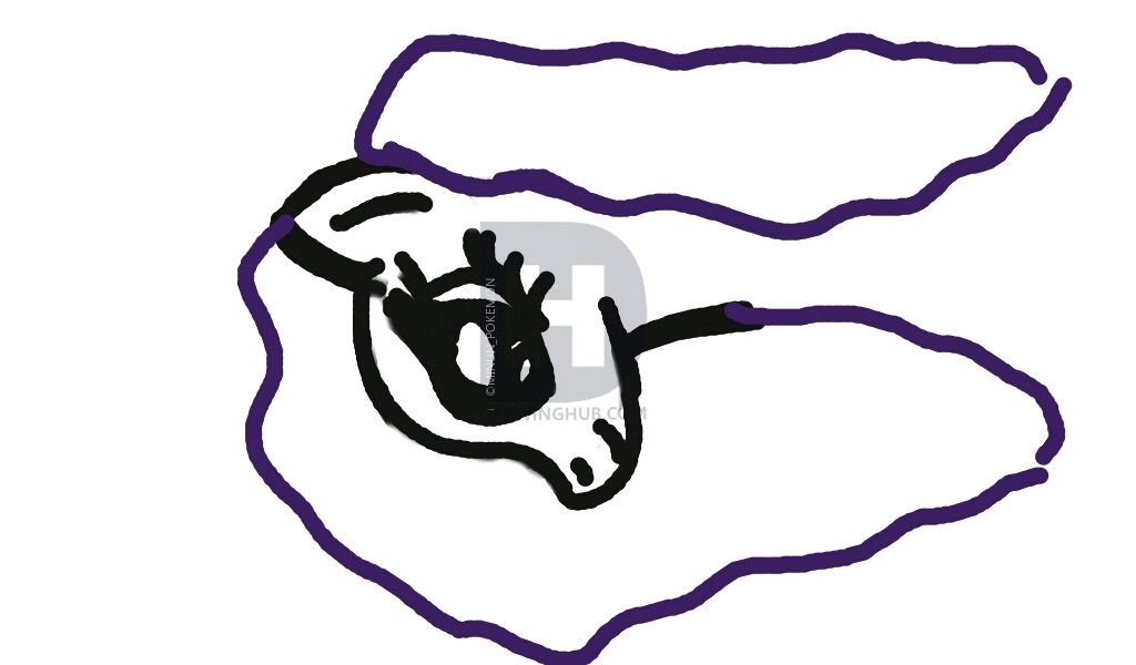 1024x600 How To Draw A My Little Pony Easy, Step