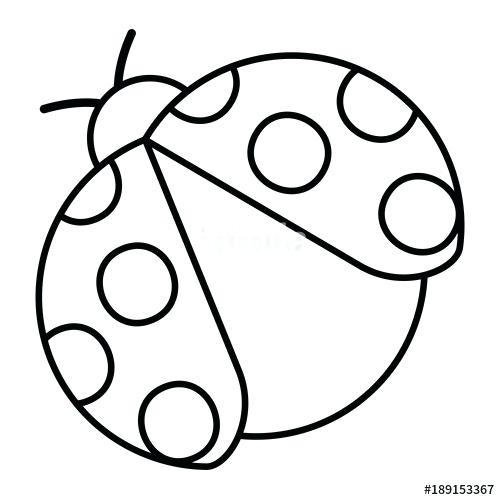 500x500 Insect Outline Ladybug Insect Small Icon Animal Vector