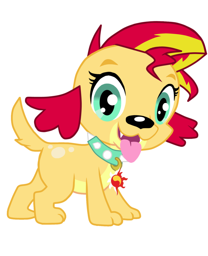 805x993 Sunset Shimmer Dog My Little Pony Friendship Is Magic Pony