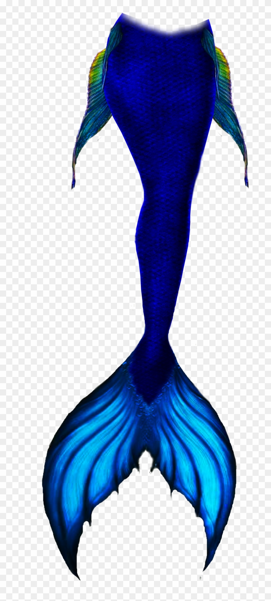 880x1945 Mermaidtail Mermaid Sirentail Remixit