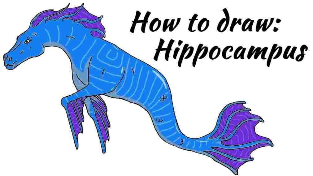 1011x569 How To Draw A Hippocampus Mythology Youtuberhyoutubecom How