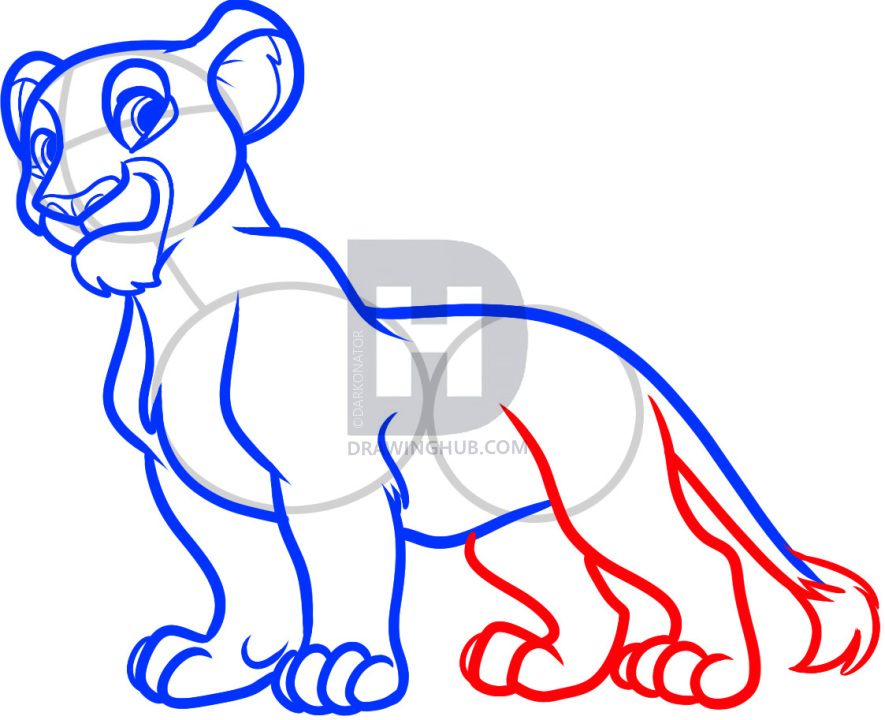 885x720 How To Draw Nala From The Lion King, Step