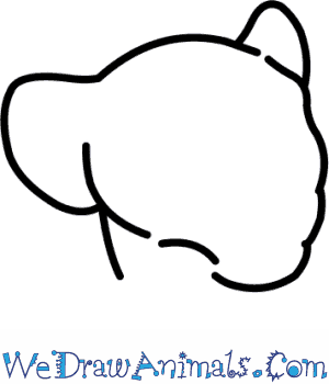 300x350 How To Draw Nala From The Lion King