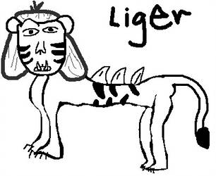 306x250 Napoleondynamite Explore Napoleondynamite