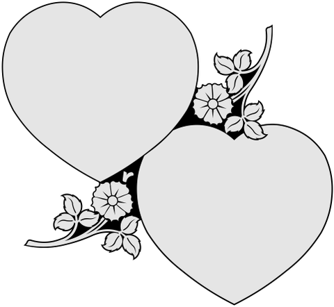 480x442 Products Tagged Heart