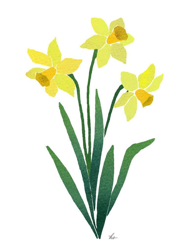 794x1027 Dowloadable Art Daffodils Daffodil Download Drawing Of Etsy