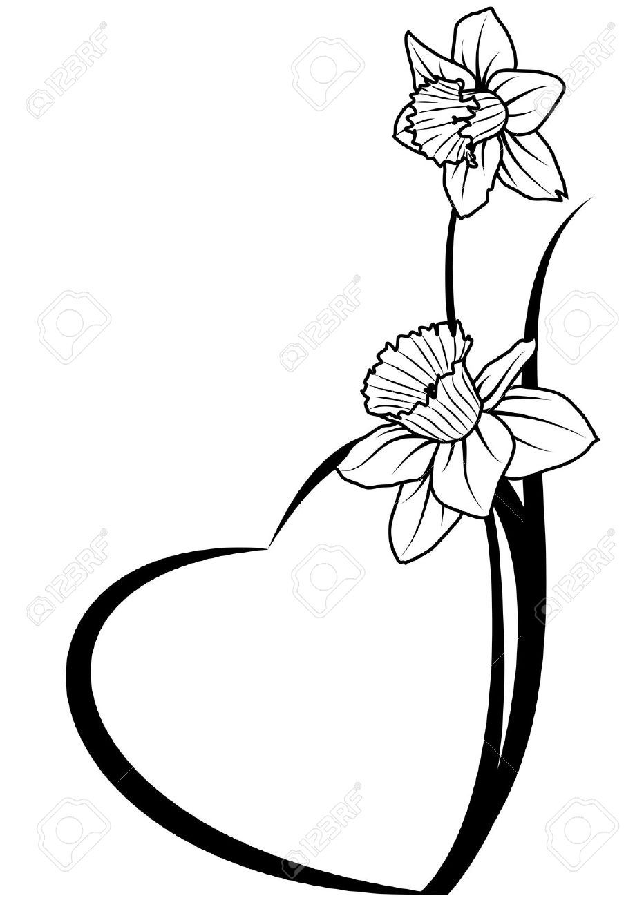 919x1300 Tattoo Stuff Narcissus Flower Tattoos