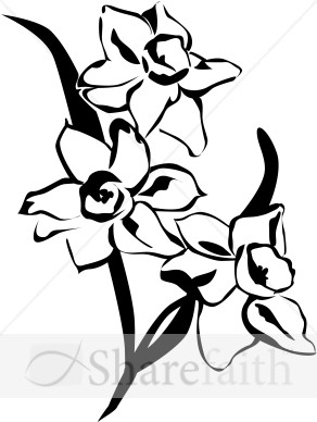 292x388 Daffodil Clip Art Black And White Clipart Collection
