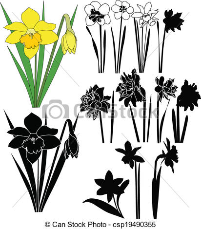 412x470 Daffodils Clipart Vector