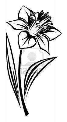 220x400 Stock Vector Tattoos!! Daffodil Tattoo, Narcissus Flower