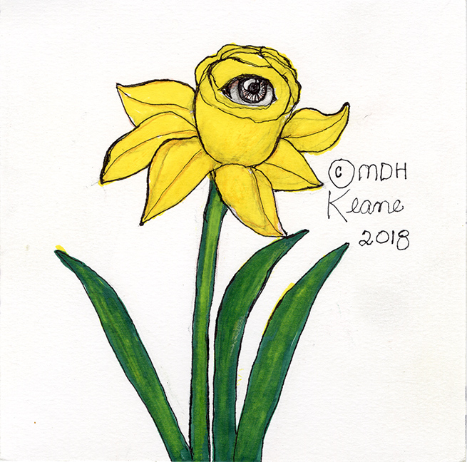 655x648 yellow daffodil keane eyes gallery