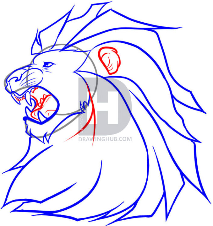 678x720 How To Draw Aslan, Step