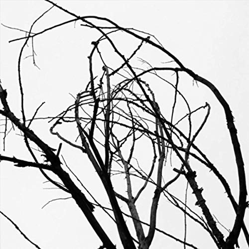 500x500 Narrative Unforced