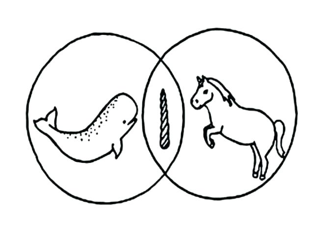 640x480 Narwhal Color Drawn X And Jelly Coloring