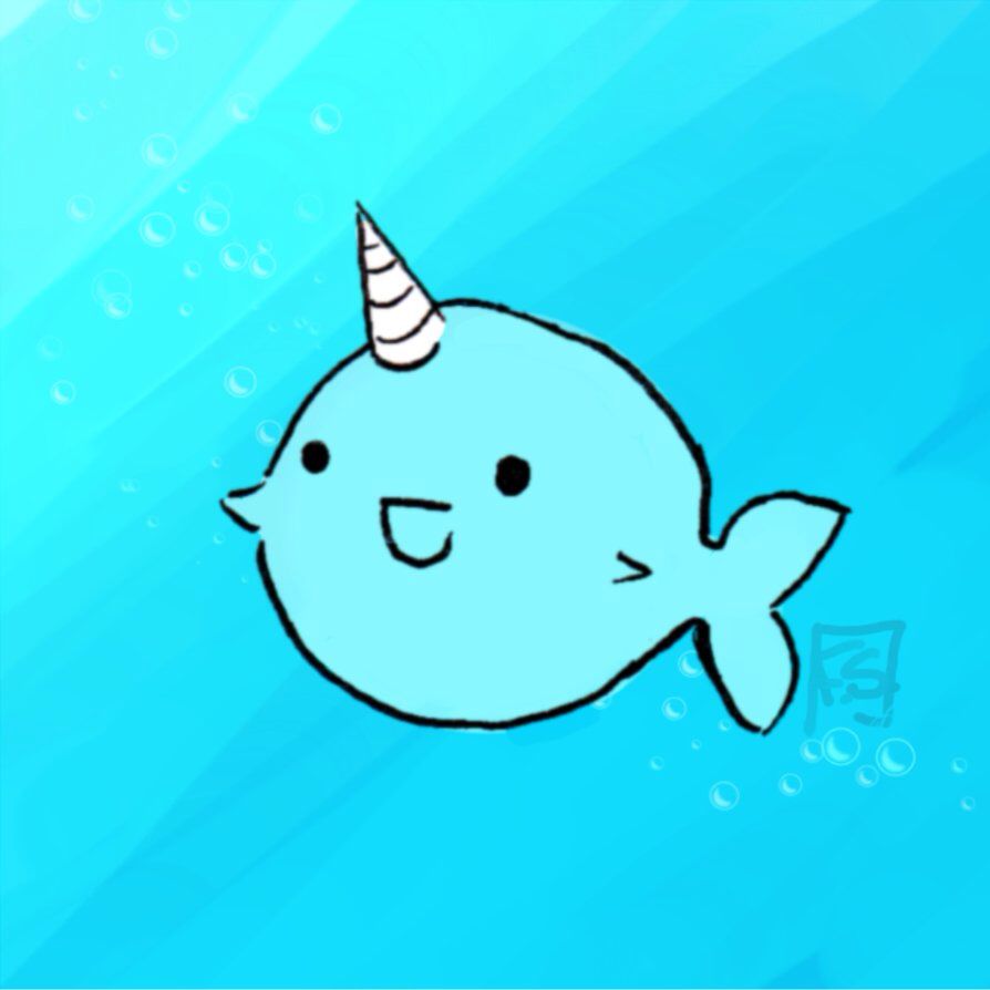 894x894 Narwhal Nar Whale