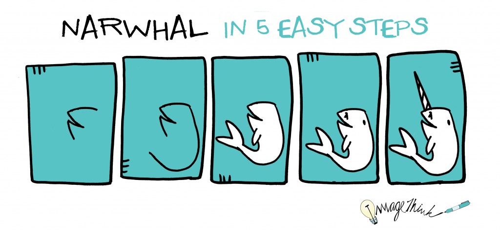 1024x477 How To Draw A Narwhal In Easy Steps