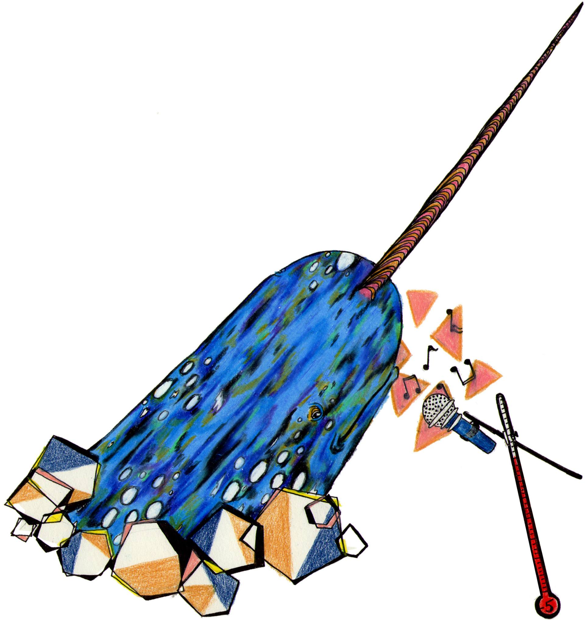 1920x2033 Mr Narwhal Drawing