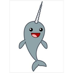 300x300 Narwhal Clipart Cool Drawing