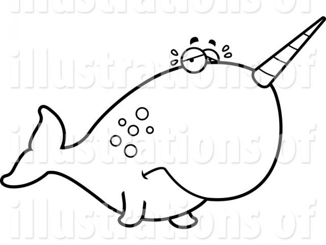 640x480 Narwhal Clipart Line Drawing
