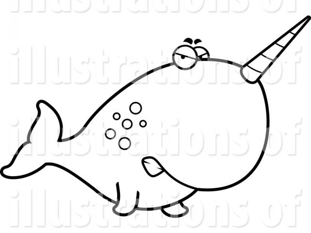 640x480 Narwhal Clipart Line Drawing