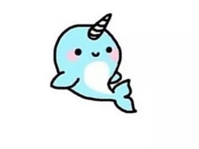 640x480 Narwhal Clipart Line Drawing