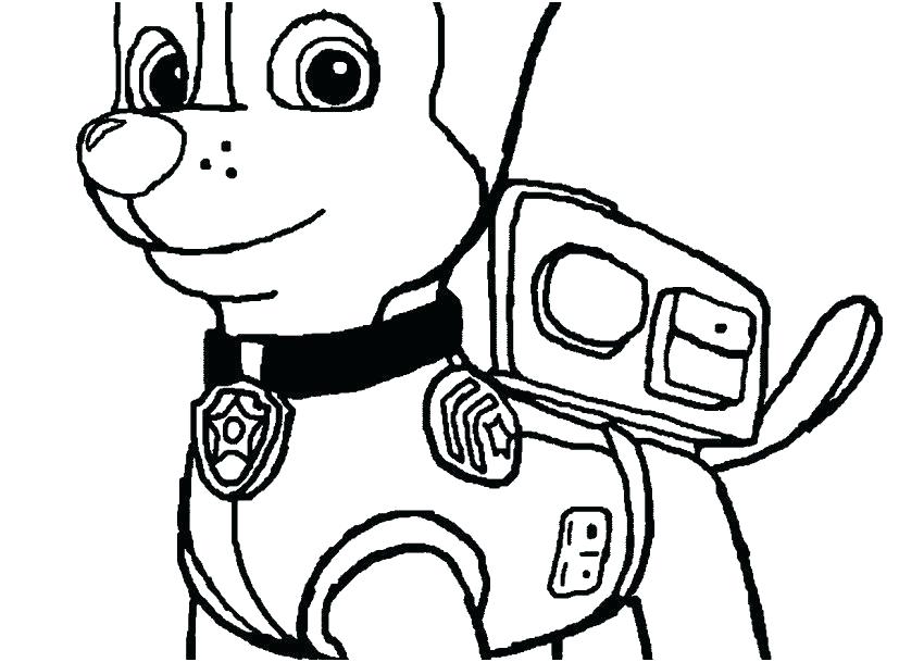 827x609 Narwal Clip Art