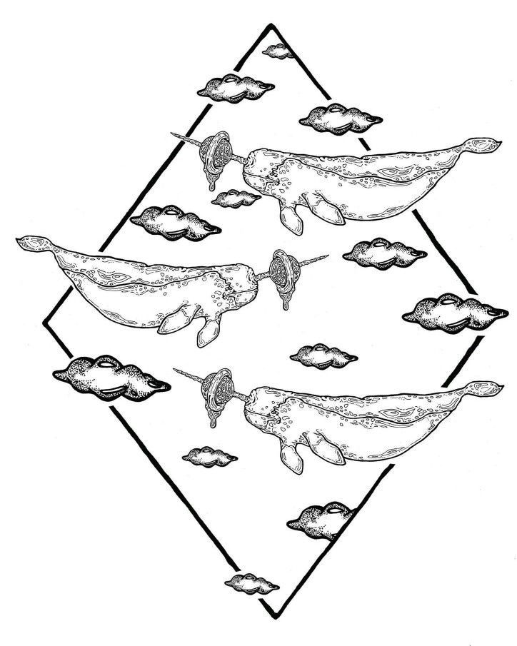 724x905 Narwhal