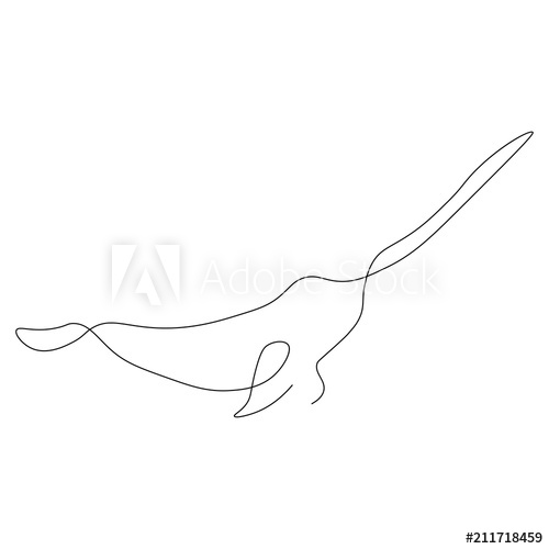 500x500 Narwhal One Line