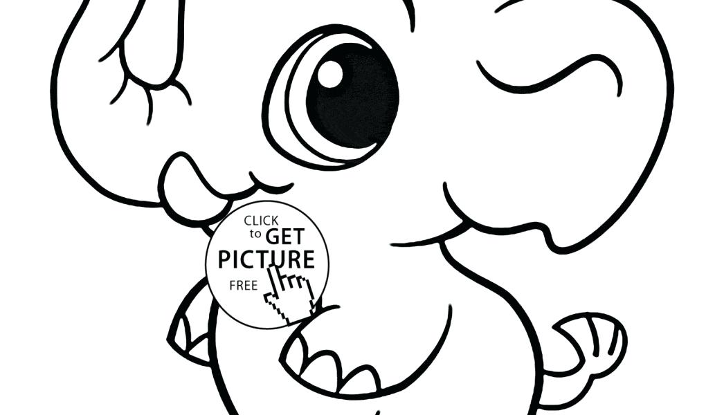 1020x600 Narwhal Coloring