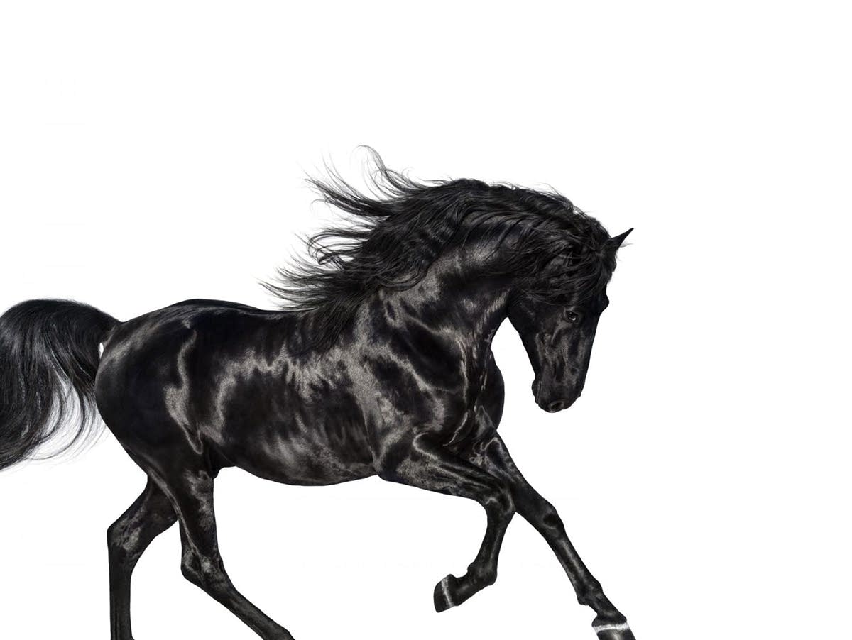 1200x902 music news lil nas x song dropped from country chart, sparking