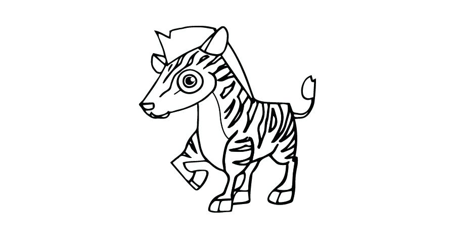 900x480 national park coloring book mountain zebra national park drawing