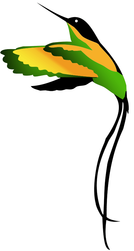 461x864 jamaican national bird clipart drawing