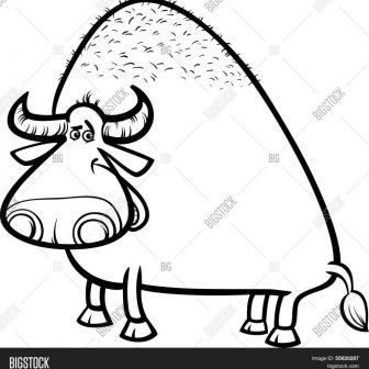 336x336 Buffalo Bill Drawing