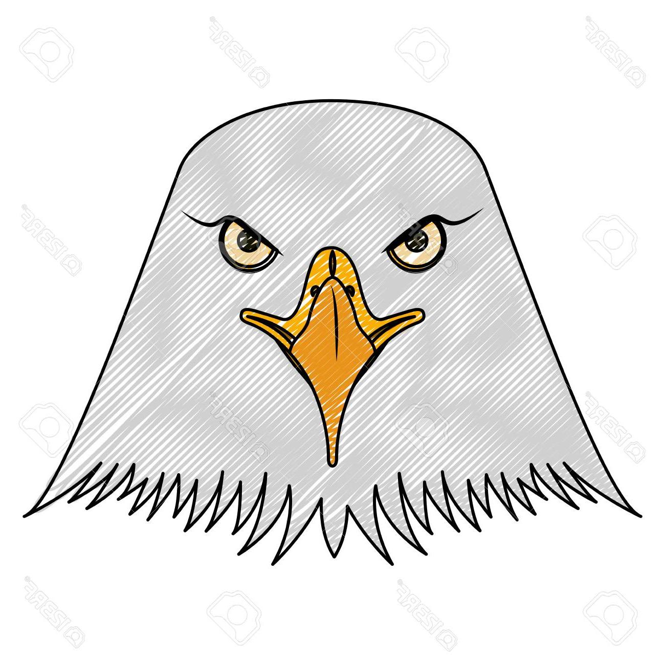 1300x1300 Best Head Bald Eagle Symbol Native American Vector Illustration