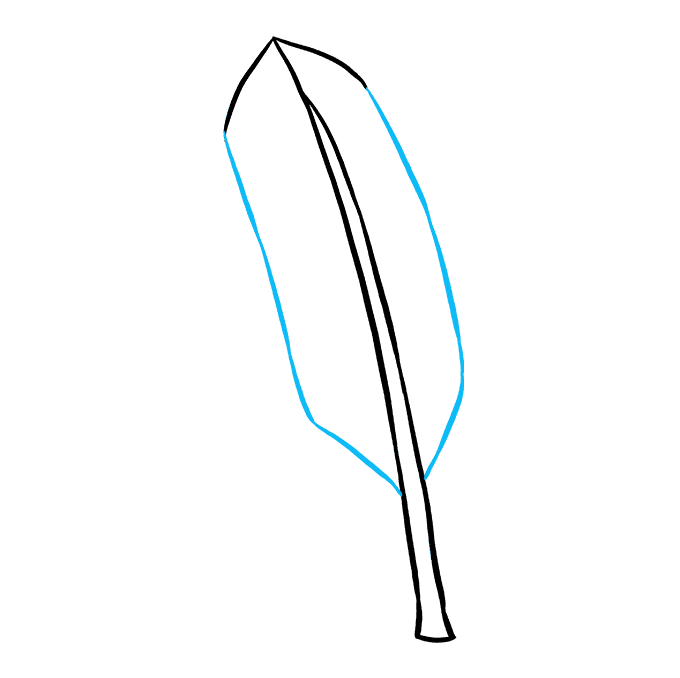 680x678 How To Draw A Feather